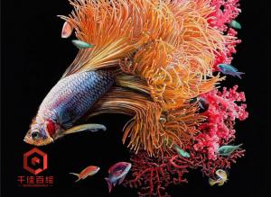 珊瑚抽象鱼